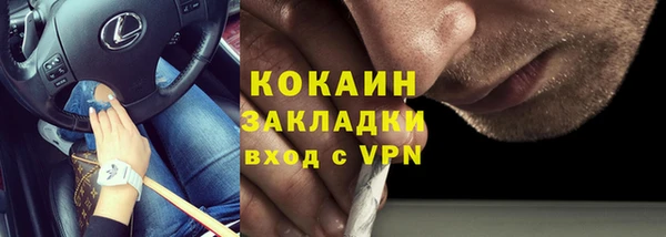 твердый Богданович