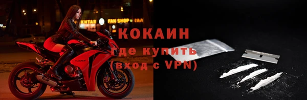 твердый Богданович