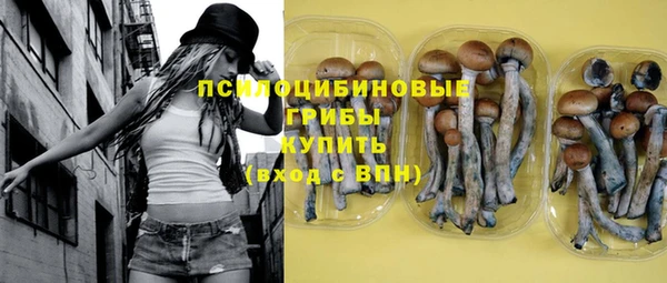 твердый Богданович