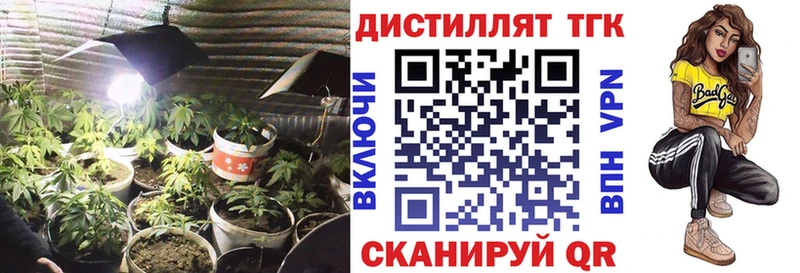 Купить закладки  Устюжна  ТГК гашишное масло 