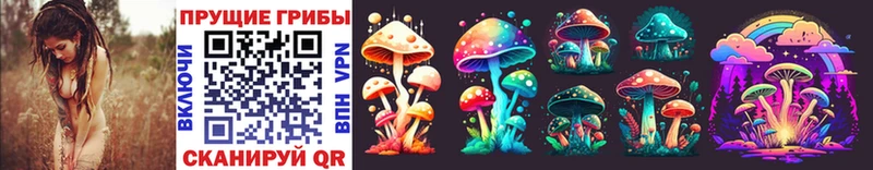 Купить  Устюжна  Галлюциногенные грибы Cubensis 